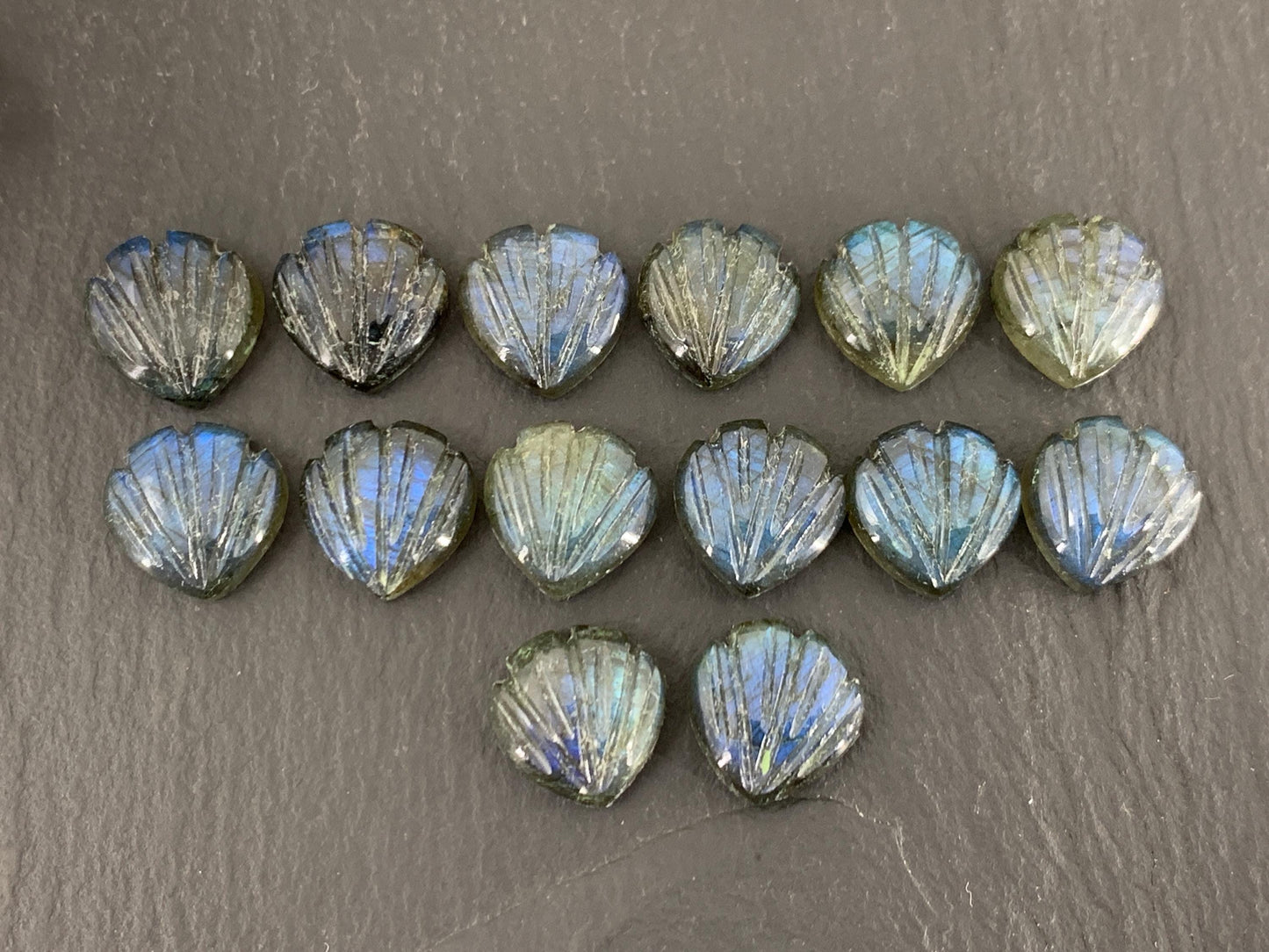 Labradorite Sea shell 12x12mm cabochon carved