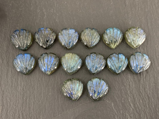 Labradorite Sea shell 12x12mm cabochon carved