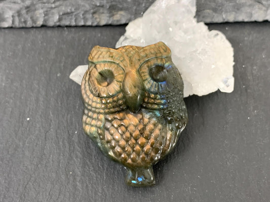 Labradorite Owl Carving - Natural 27x37mm Flat Back Gemstone Figure