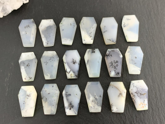 Step Cut Dendrite Opal coffin 10x16mm cabochon