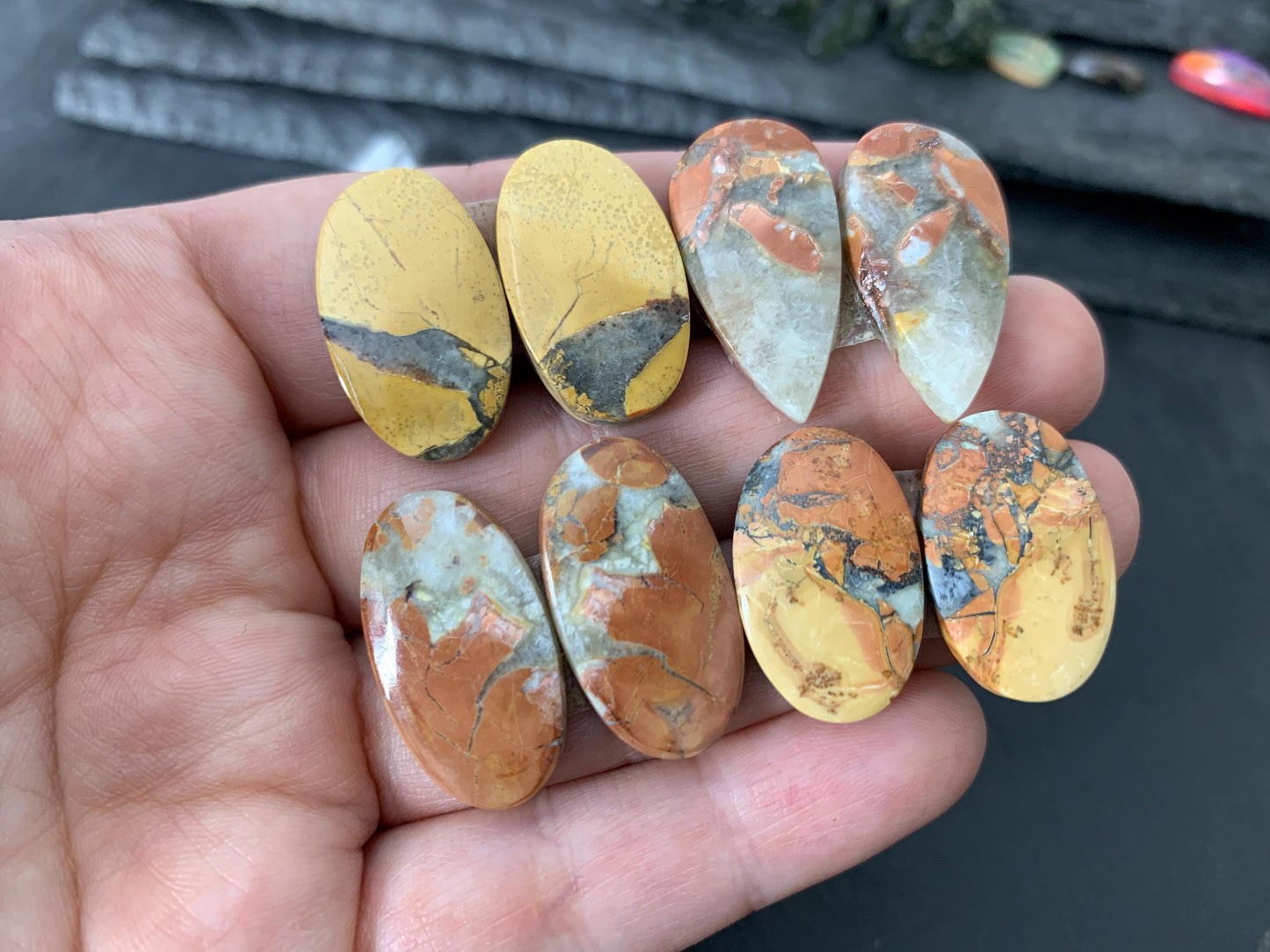 Maligano Jasper cabochon pair