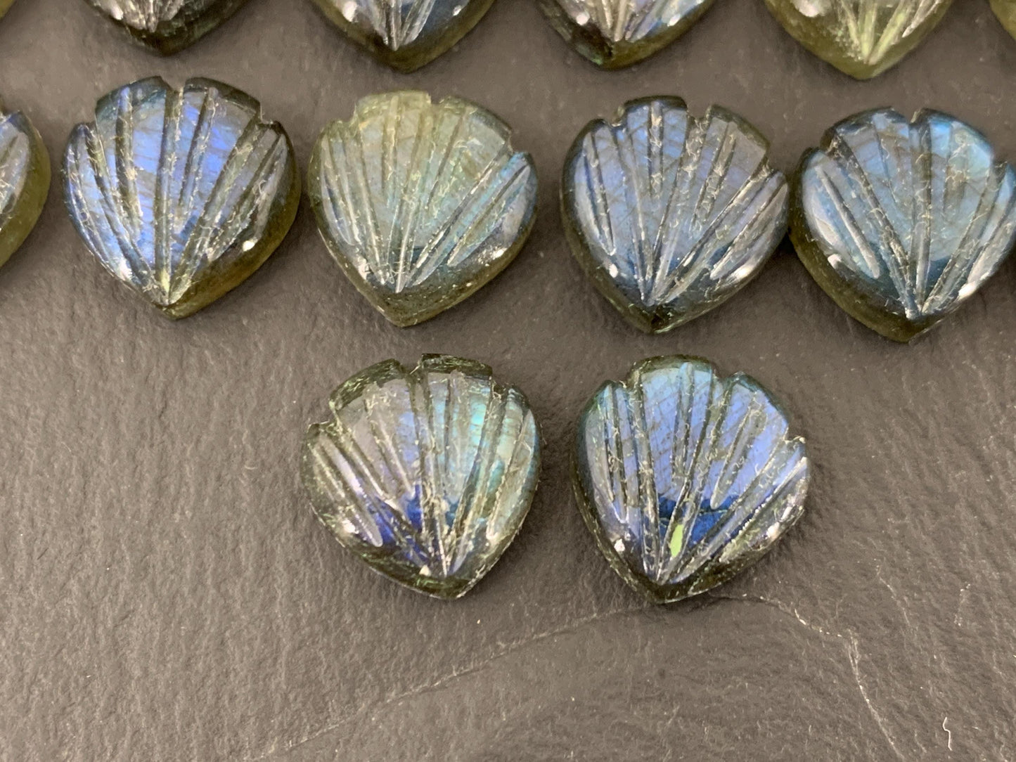 Labradorite Sea shell 12x12mm cabochon carved