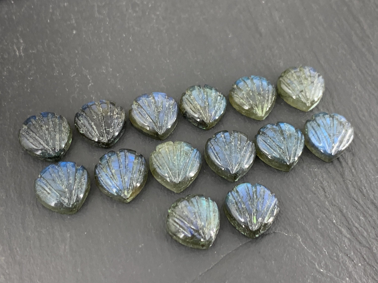 Labradorite Sea shell 12x12mm cabochon carved