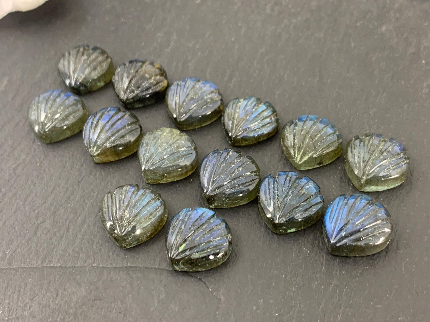 Labradorite Sea shell 12x12mm cabochon carved