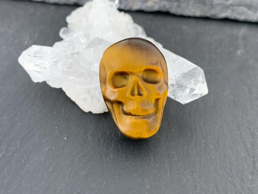 Tiger eye skull 15x21mm cabochon
