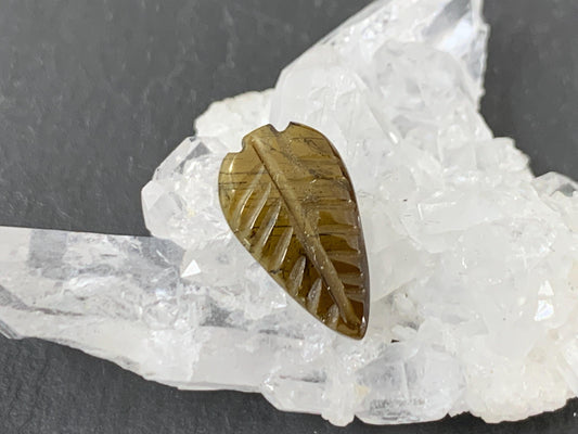 Carved Tourmaline 8x15x2mm cabochon