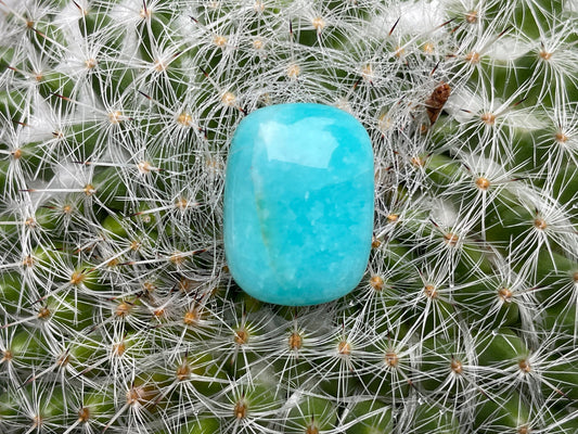 Amazonite cabochon 15x20mm - Calibrated cabochons
