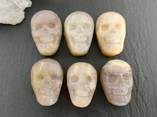 Moonstone skull 15x22mm cabochon carving