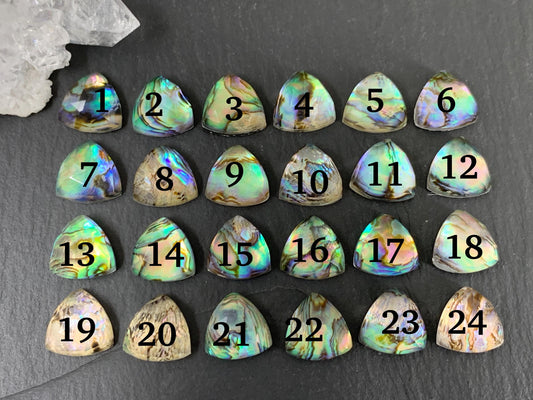 Faceted Abalone triangle 12mm doublet cabochon