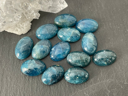 Blue Apatite oval 8x12mm cabochon - Calibrated cabochons