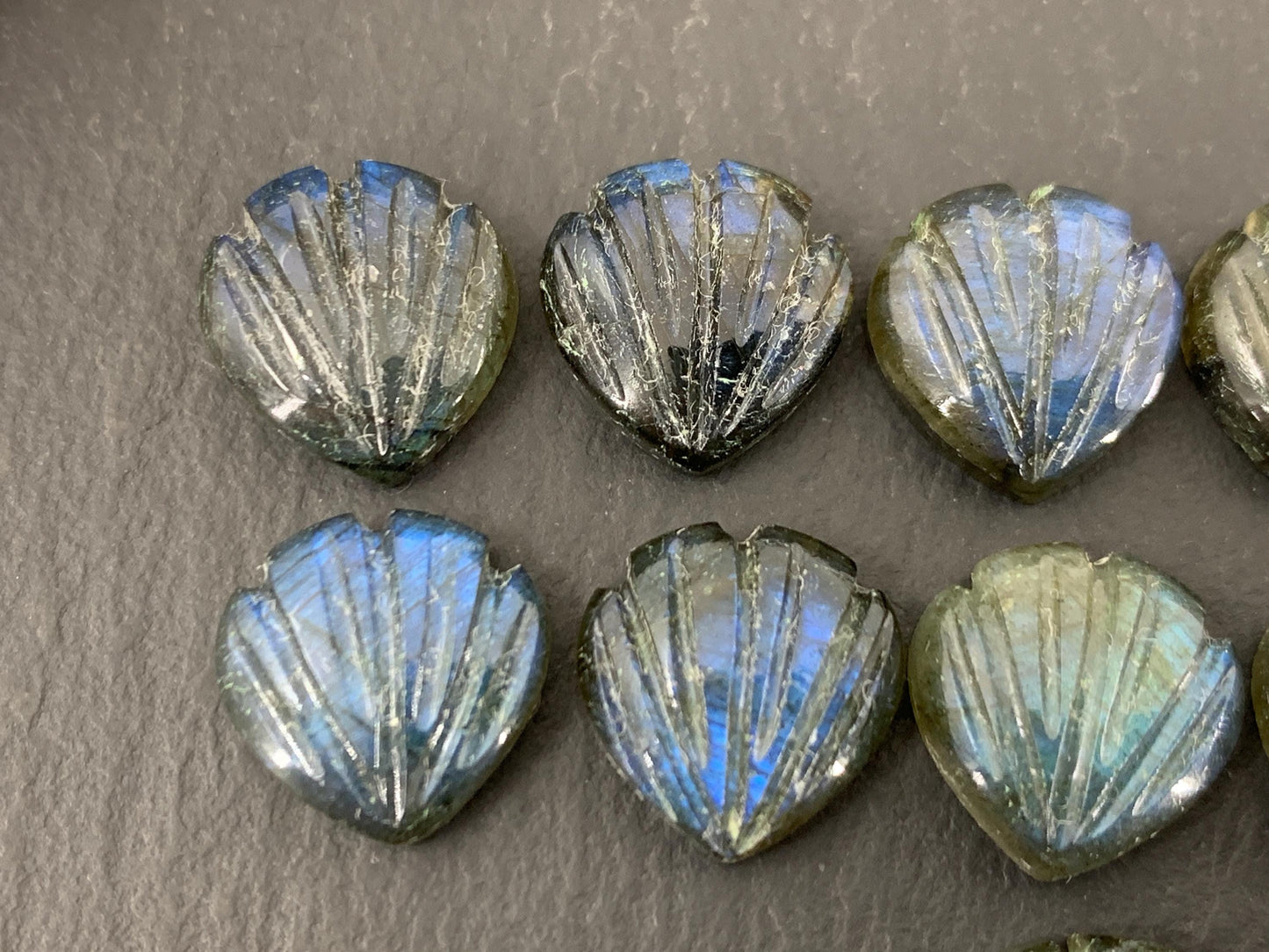 Labradorite Sea shell 12x12mm cabochon carved