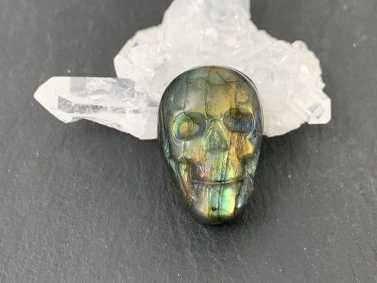 Labradorite Skull Cabochon 15x22mm - Natural Green Flat Back Carving Gemstone