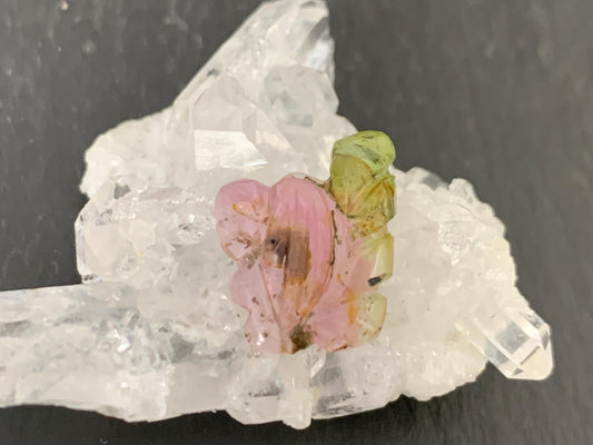 Carved Tourmaline 13x15x4mm cabochon