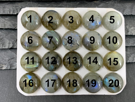Labradorite round 14mm cabochon - Calibrated cabochons