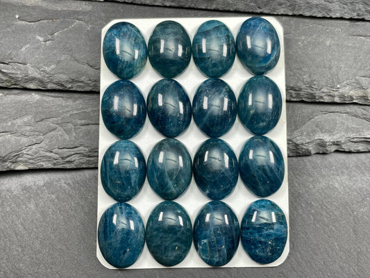 Apatite oval 15x20mm cabochon - Calibrated cabochons