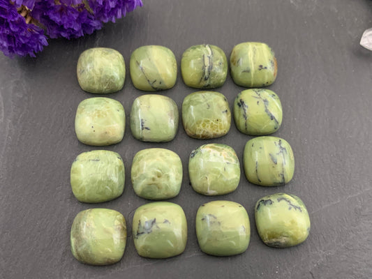 Green Opal square 15x15mm cabochon - Calibrated cabochons