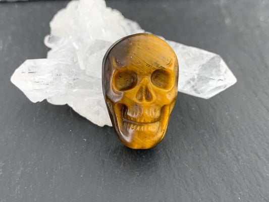 Tiger eye skull 14x21mm cabochon