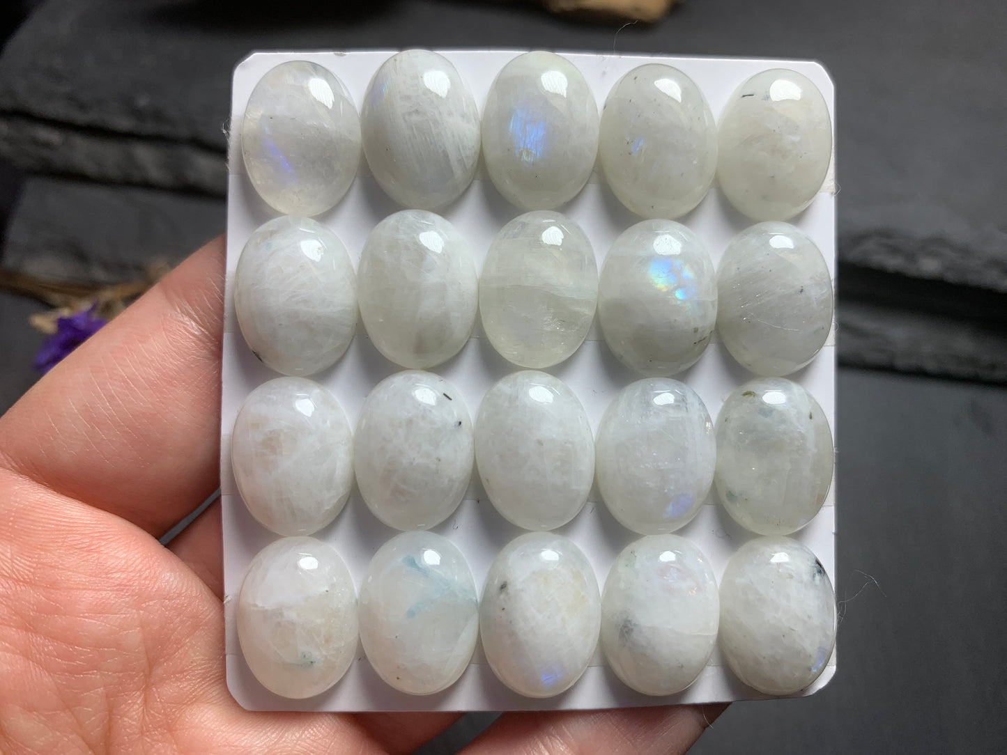 Rainbow MoonStone oval 12x16mm Cabochon - Calibrated cabochons