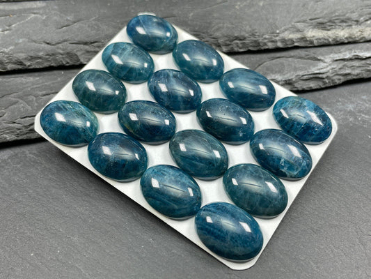 Apatite oval 15x20mm cabochon - Calibrated cabochons