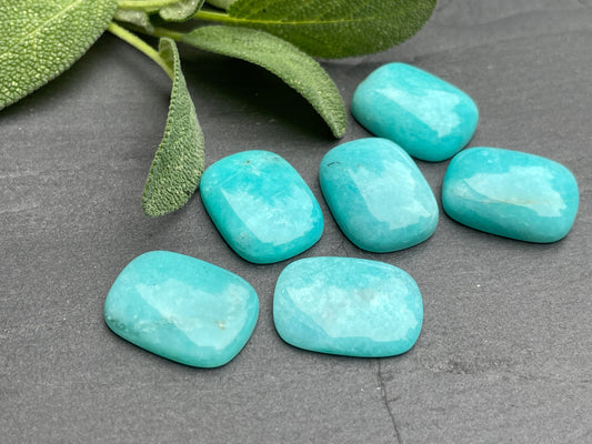 Amazonite cabochon 15x20mm - Calibrated cabochons