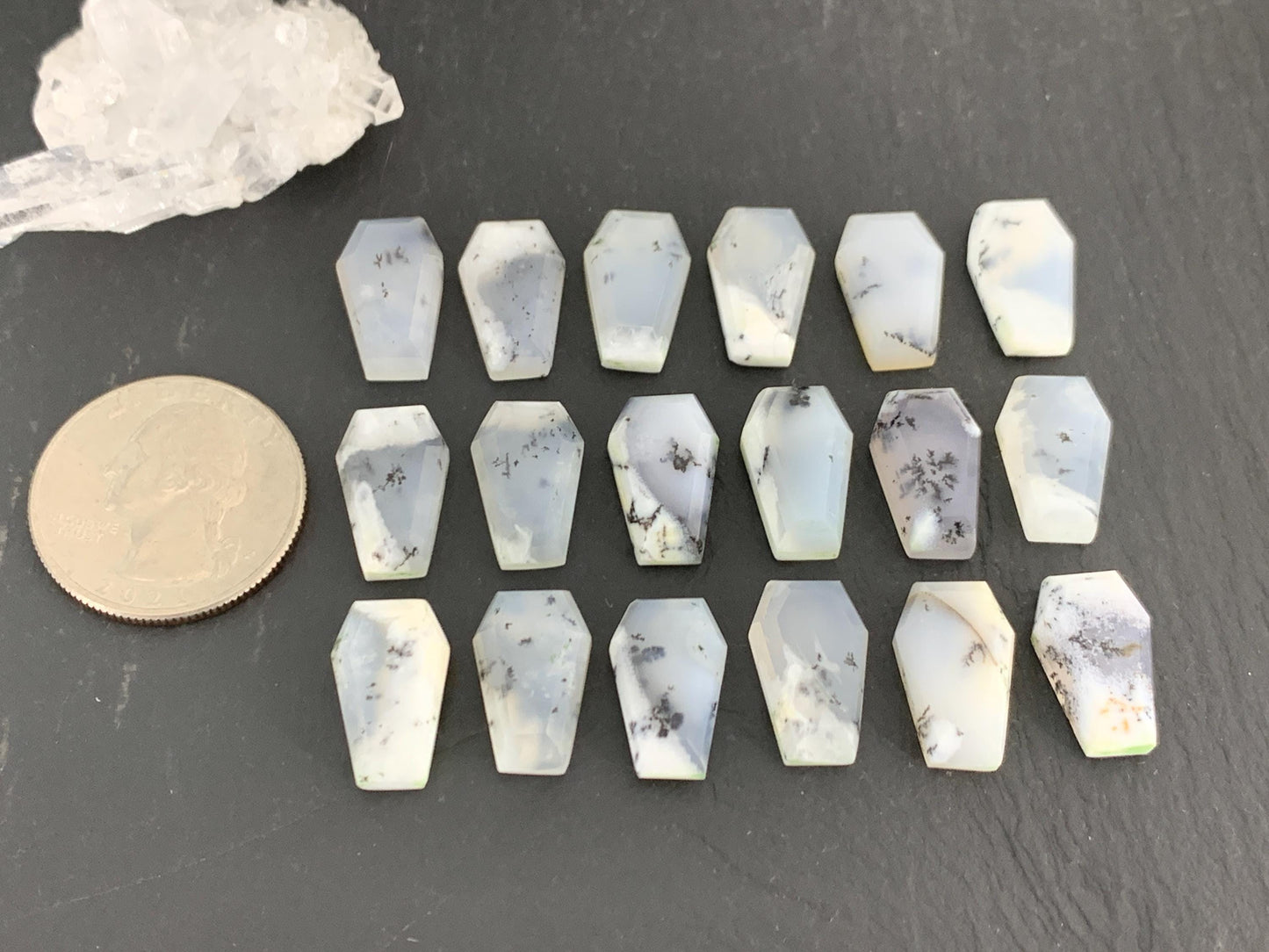 Step Cut Dendrite Opal coffin 10x16mm cabochon