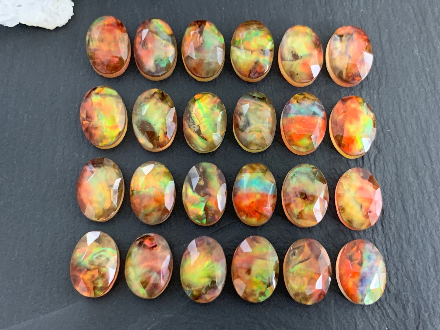 Ammolite Doublet oval 10x14mm  cabochon