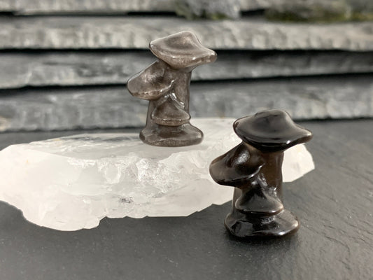 Obsidian Mushroom - Mushroom carving
