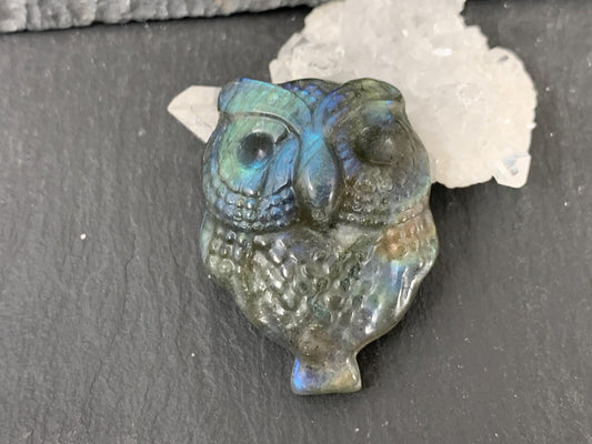 Labradorite Owl Carving - 27x35mm Natural Stone Flat Back Gem