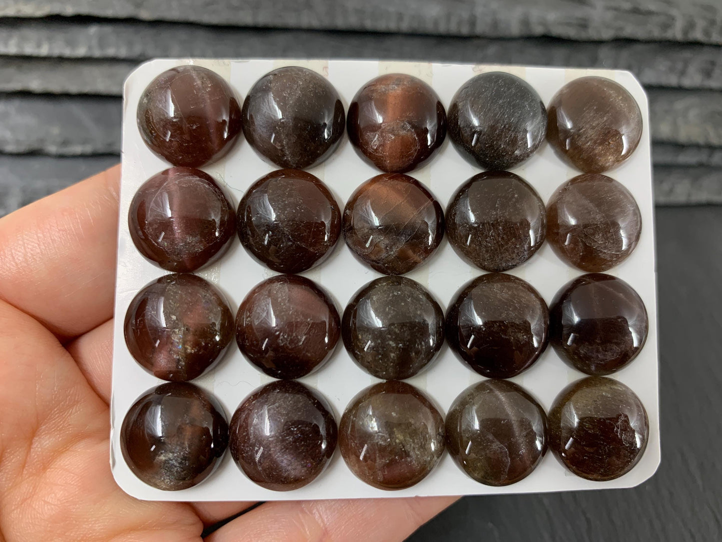 Cat's Eye round 15mm cabochon - Calibrated cabochons