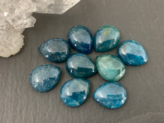 Blue Apatite pear 8x10mm cabochon - Calibrated cabochons