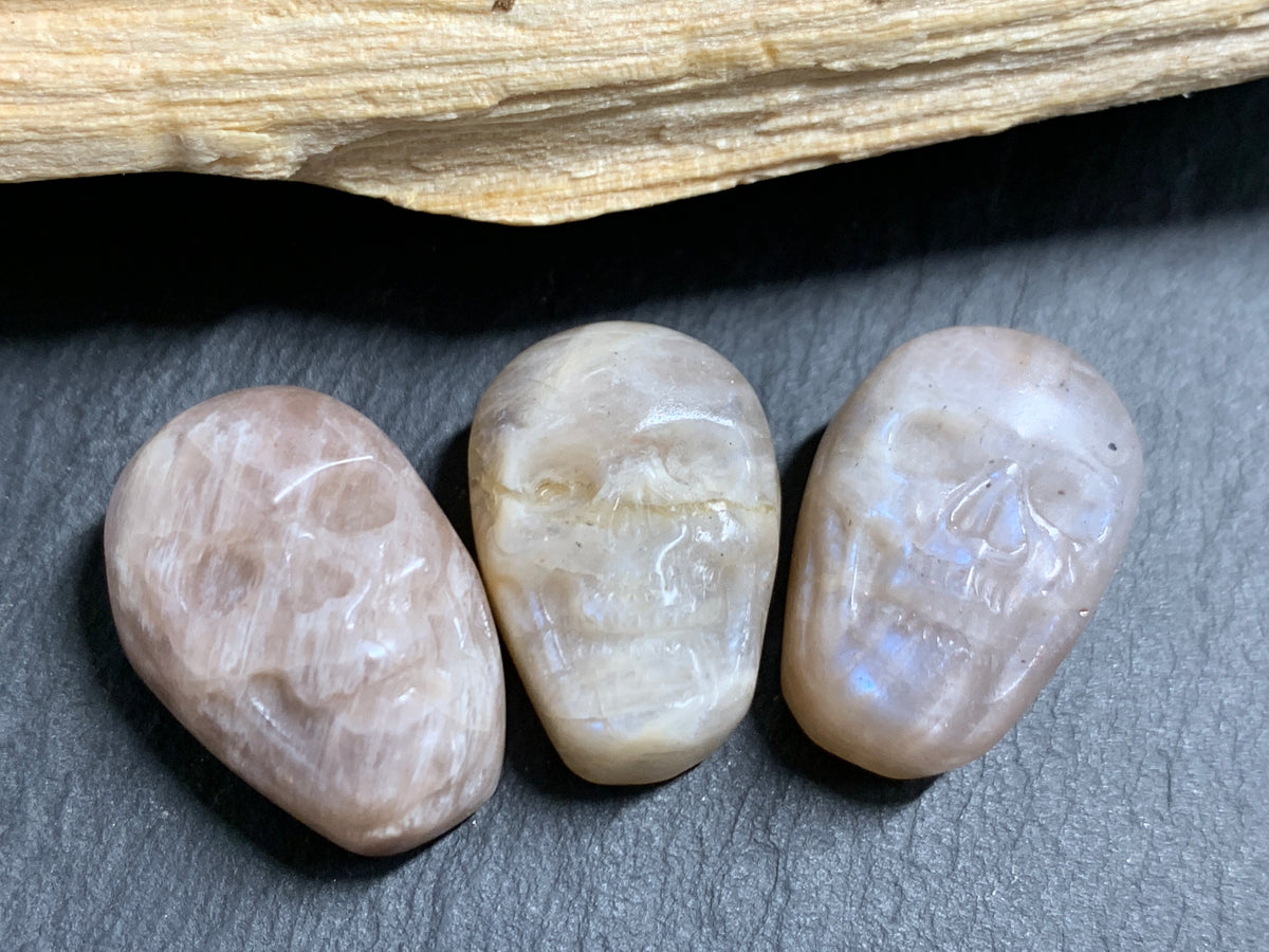 Moonstone Skull Carving 22mm long Crystal Skull