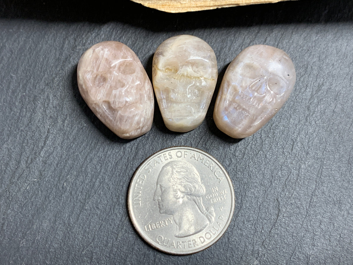 Moonstone Skull Carving 22mm long Crystal Skull