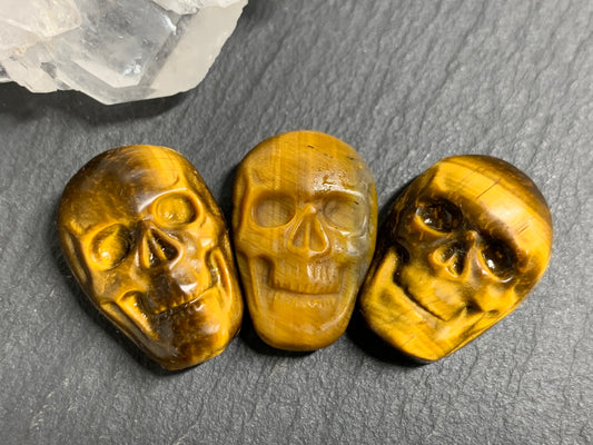 Natural Tiger Eye Skull Cabochon 15x22mm – Polished Carved Gemstone Skull for Jewelry Making