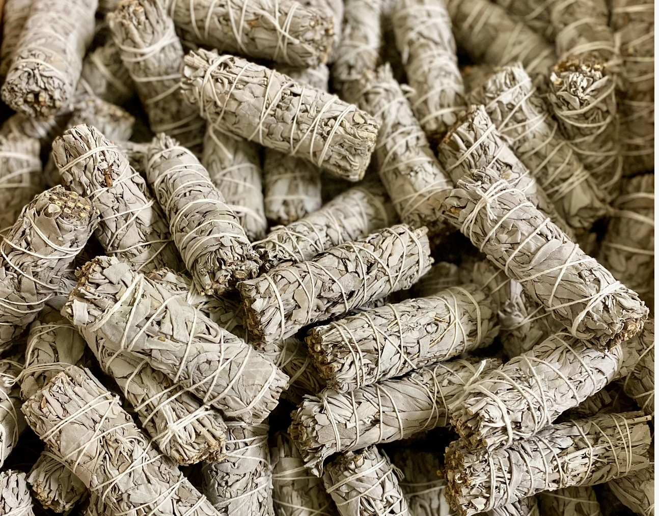 White Sage - 4 Inch California White Sage