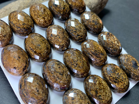 Faceted Bronzite oval 13x18mm cabochon- Calibrated cabochons