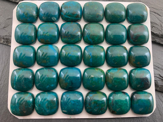 Chrysocolla square cushion 12mm cabochon - Calibrated cabochons