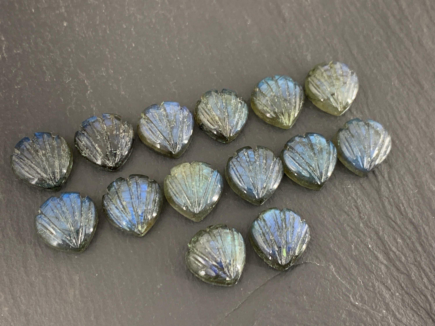 Labradorite Sea shell 12x12mm cabochon carved