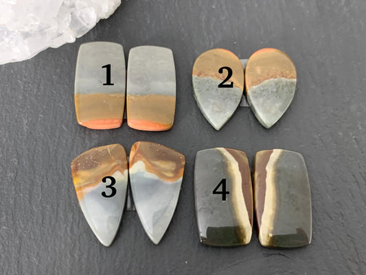 Polychrome Jasper cabochon pair
