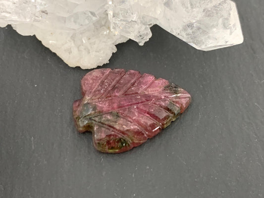 Carved Tourmaline 14x19x4mm cabochon