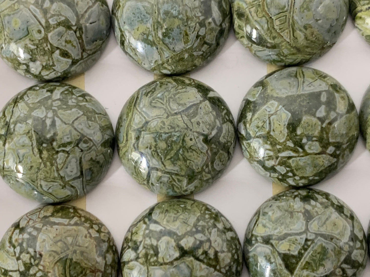 Ryolite round 20mm cabochon