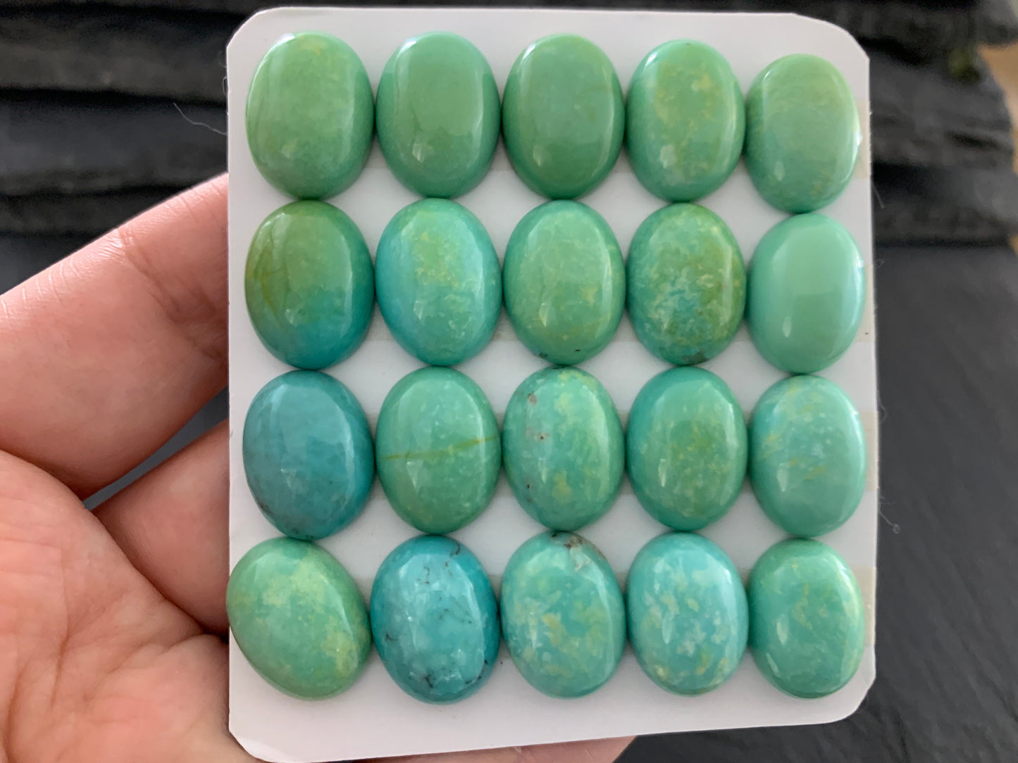 Nevada Turquoise oval 12x16mm cabochon