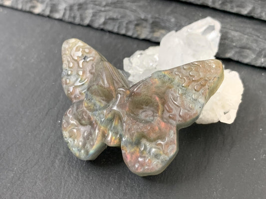 Labradorite Butterfly Carving – Natural 28x40mm Ghost Face Flat Back Gem