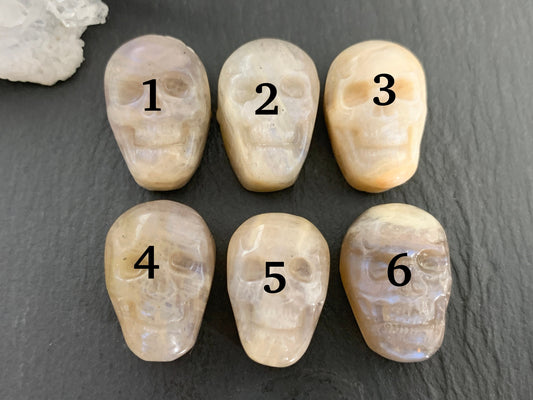 Moonstone skull 15x22mm cabochon carving