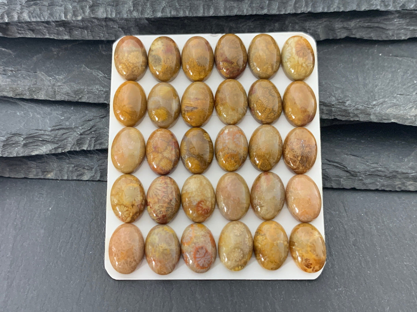 Petrified Coral oval 10x14mm cabochon - Calibrated cabochons