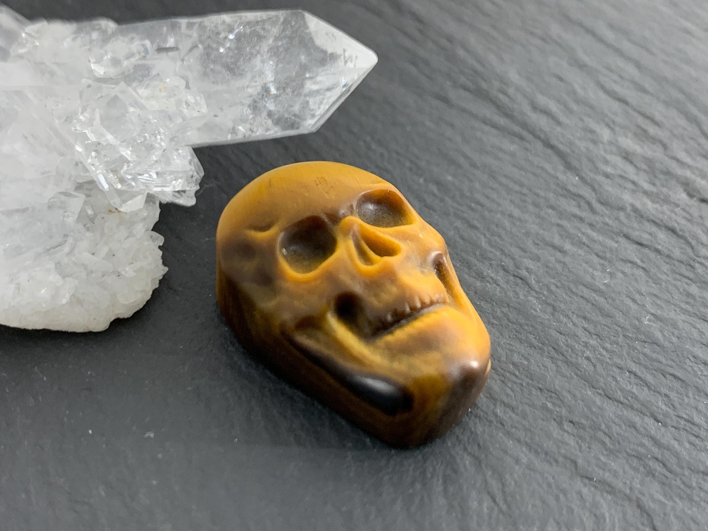 Tiger eye skull 15x22mm cabochon