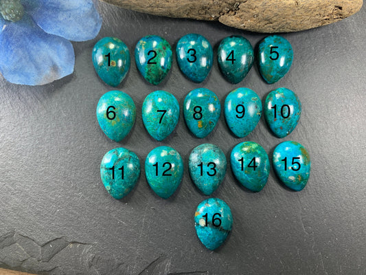 Chrysocolla pear 15x20mm cabochon - Calibrated cabochons