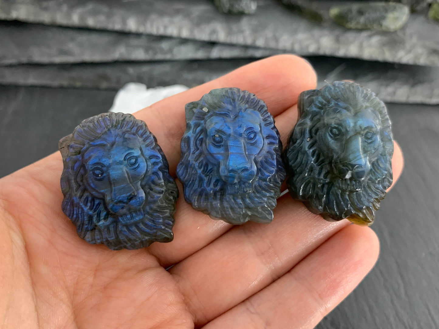 Lion Labradorite carving - Labradorite carving