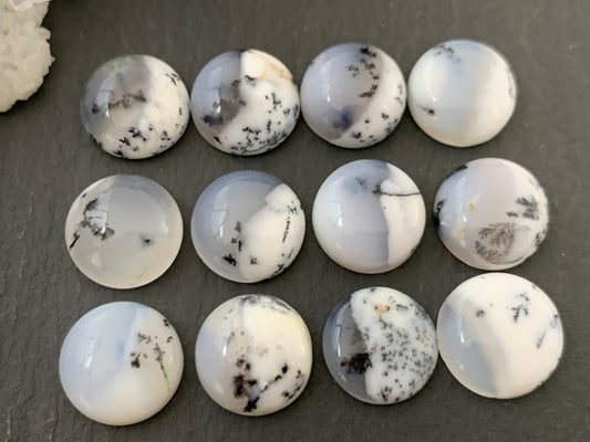 Dentrite Opal round 10mm cabochon