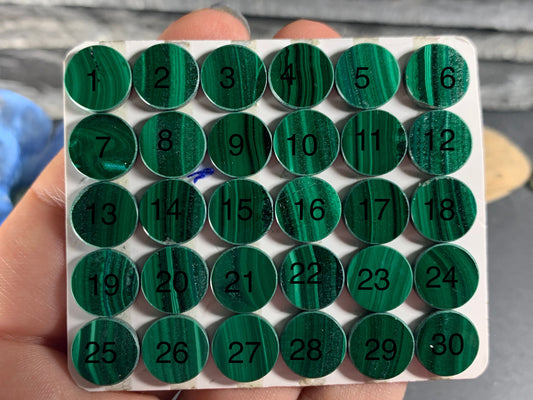 Flat Malachite round 10mm cabochon - Calibrated cabochons