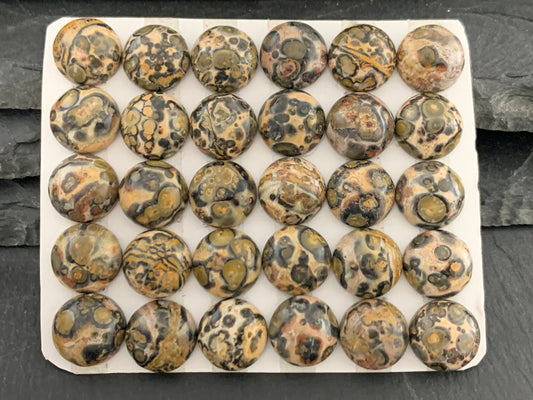 Leopard Jasper 12mm cabochon